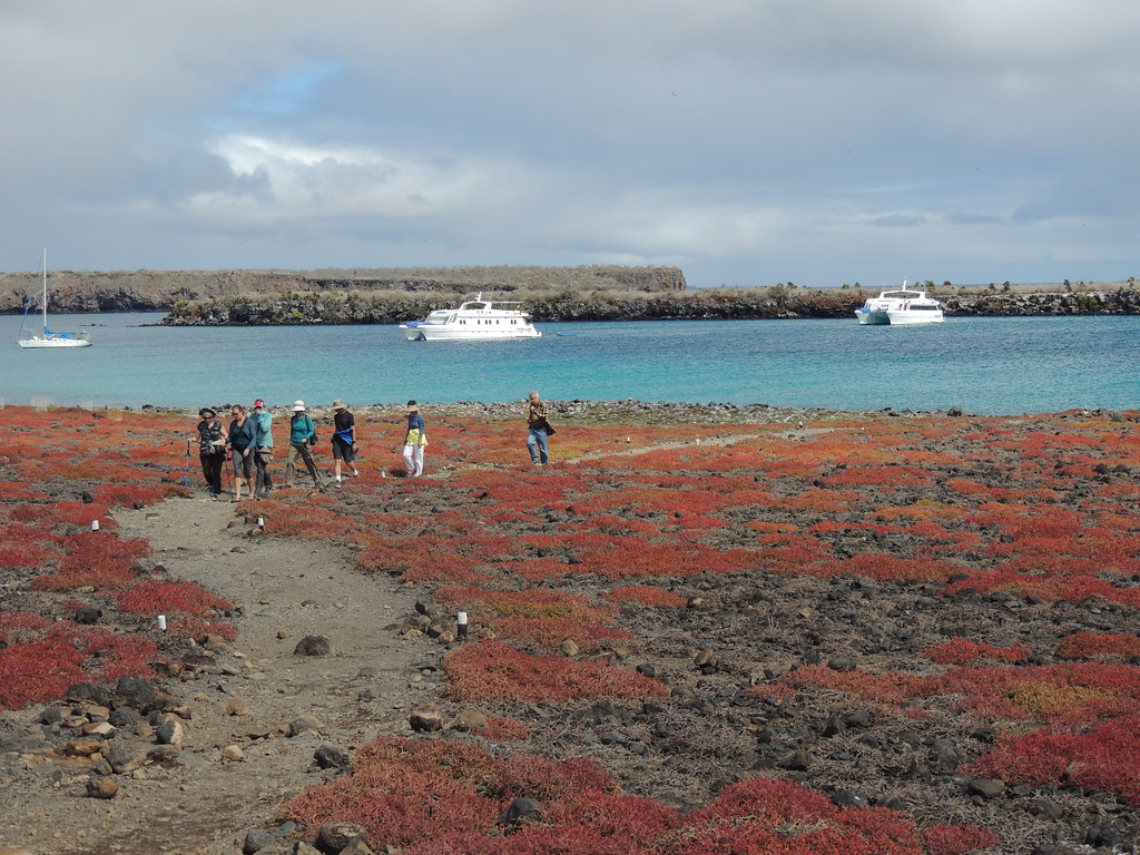 travel agency santa cruz galapagos